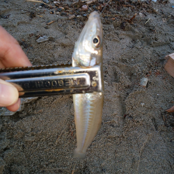 キス不調は続く・・・