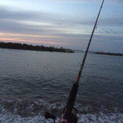 サーフエギング