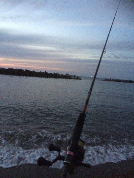 サーフエギング