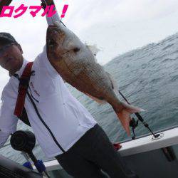 遊漁船 幸友丸 釣果