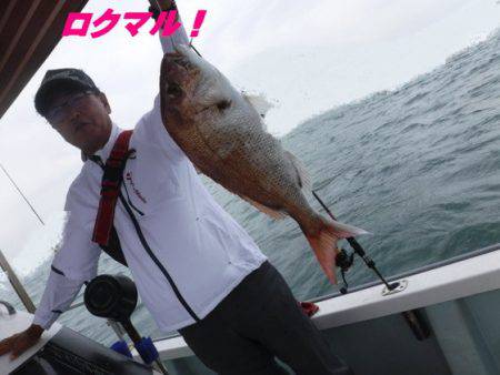 遊漁船 幸友丸 釣果