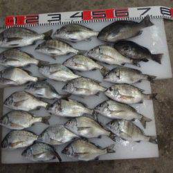 のとじま臨海公園海づりセンター 釣果