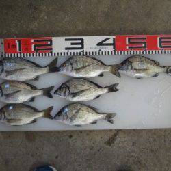 のとじま臨海公園海づりセンター 釣果