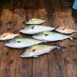 由良海上釣り堀 海人 釣果