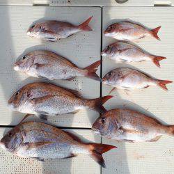 釣り船くわだ 釣果