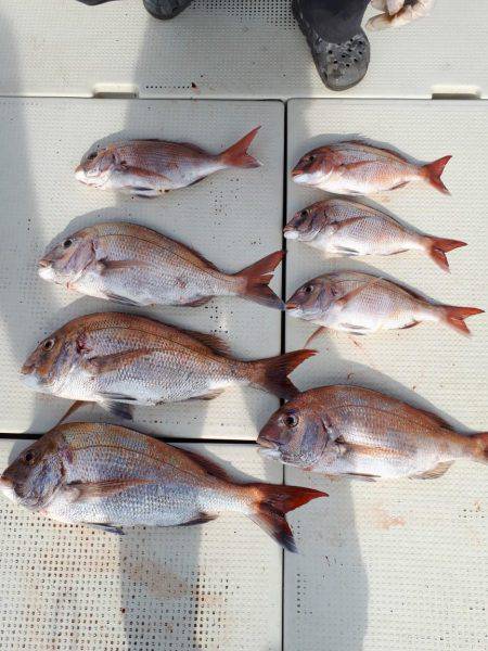 釣り船くわだ 釣果