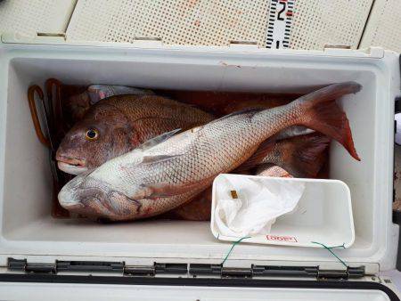 釣り船くわだ 釣果