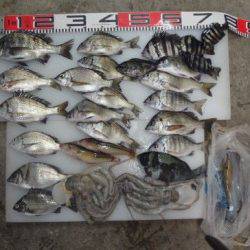 のとじま臨海公園海づりセンター 釣果