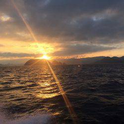 フィッシングボートACE（エース） 釣果