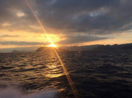 フィッシングボートACE（エース） 釣果