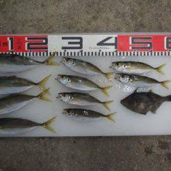 のとじま臨海公園海づりセンター 釣果