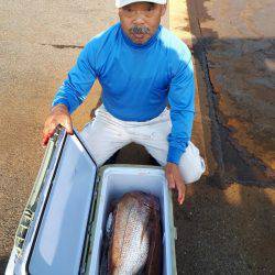 釣り船くわだ 釣果