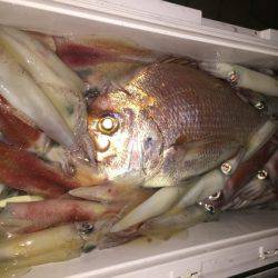 幸風（さちかぜ） 釣果