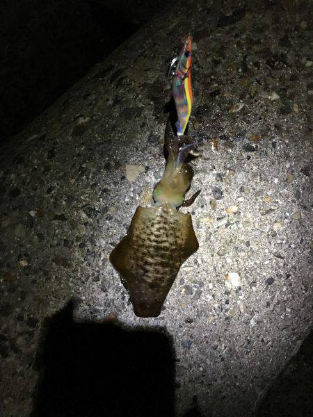 土曜日が調子良かったので