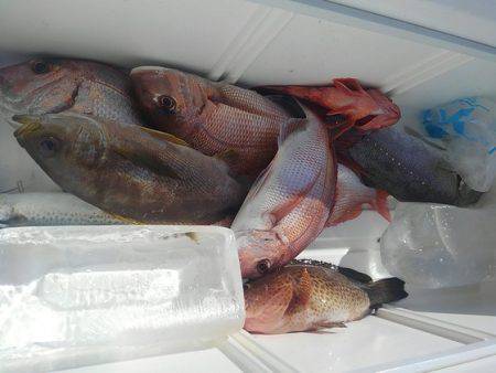 遊漁船 新鋭丸 釣果