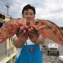大進丸(新潟) 釣果