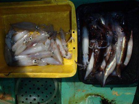 第二むつ漁丸 釣果