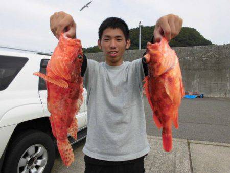 大進丸(新潟) 釣果