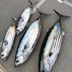 へいみつ丸 釣果