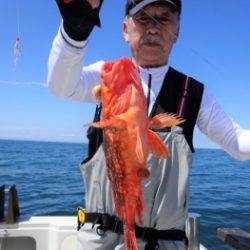 鯛紅丸 釣果