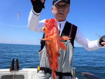 鯛紅丸 釣果