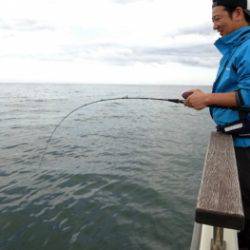 鯛紅丸 釣果