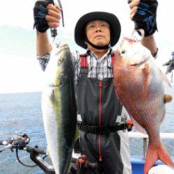 鯛紅丸 釣果