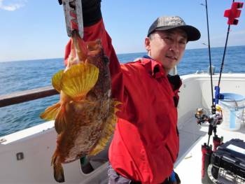 鯛紅丸 釣果