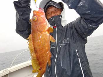 鯛紅丸 釣果