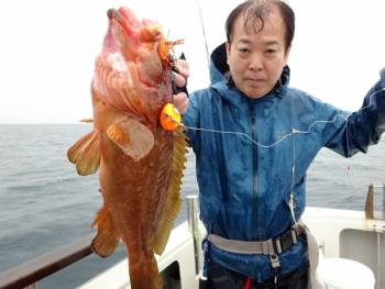 鯛紅丸 釣果