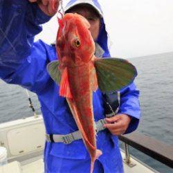 鯛紅丸 釣果