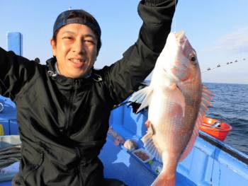 鯛紅丸 釣果