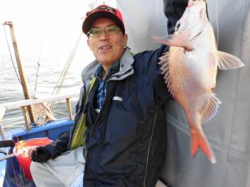 鯛紅丸 釣果
