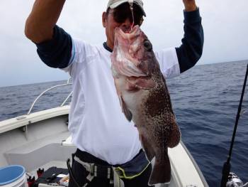 鯛紅丸 釣果