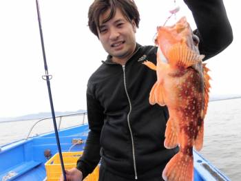 鯛紅丸 釣果