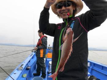 鯛紅丸 釣果