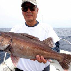鯛紅丸 釣果