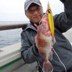 鯛紅丸 釣果
