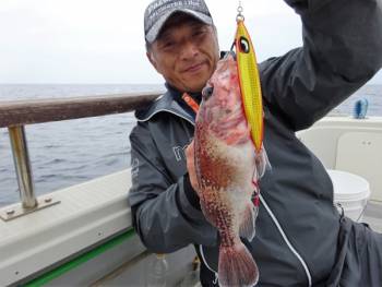 鯛紅丸 釣果