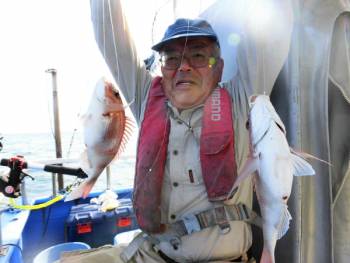 鯛紅丸 釣果