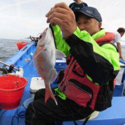 鯛紅丸 釣果