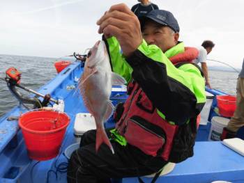 鯛紅丸 釣果