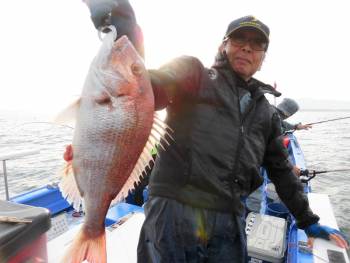 鯛紅丸 釣果