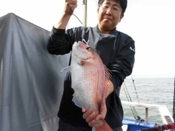 鯛紅丸 釣果