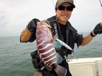 鯛紅丸 釣果