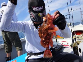 鯛紅丸 釣果
