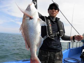 鯛紅丸 釣果