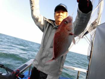 鯛紅丸 釣果