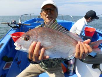 鯛紅丸 釣果