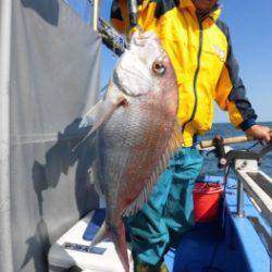 鯛紅丸 釣果